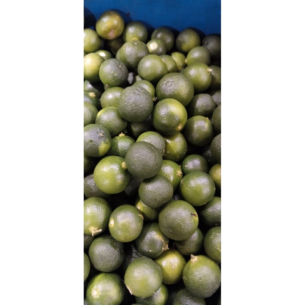 

jeruk sonkit/ jeruk kunci 500 gr