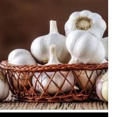 

bawang putih 500gram