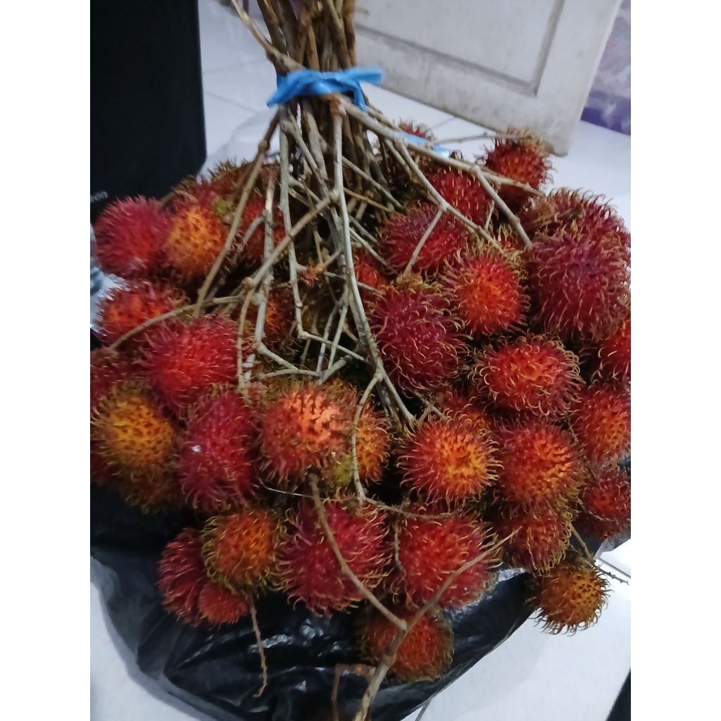 

rambutan yu panen terbatas ready hari ini