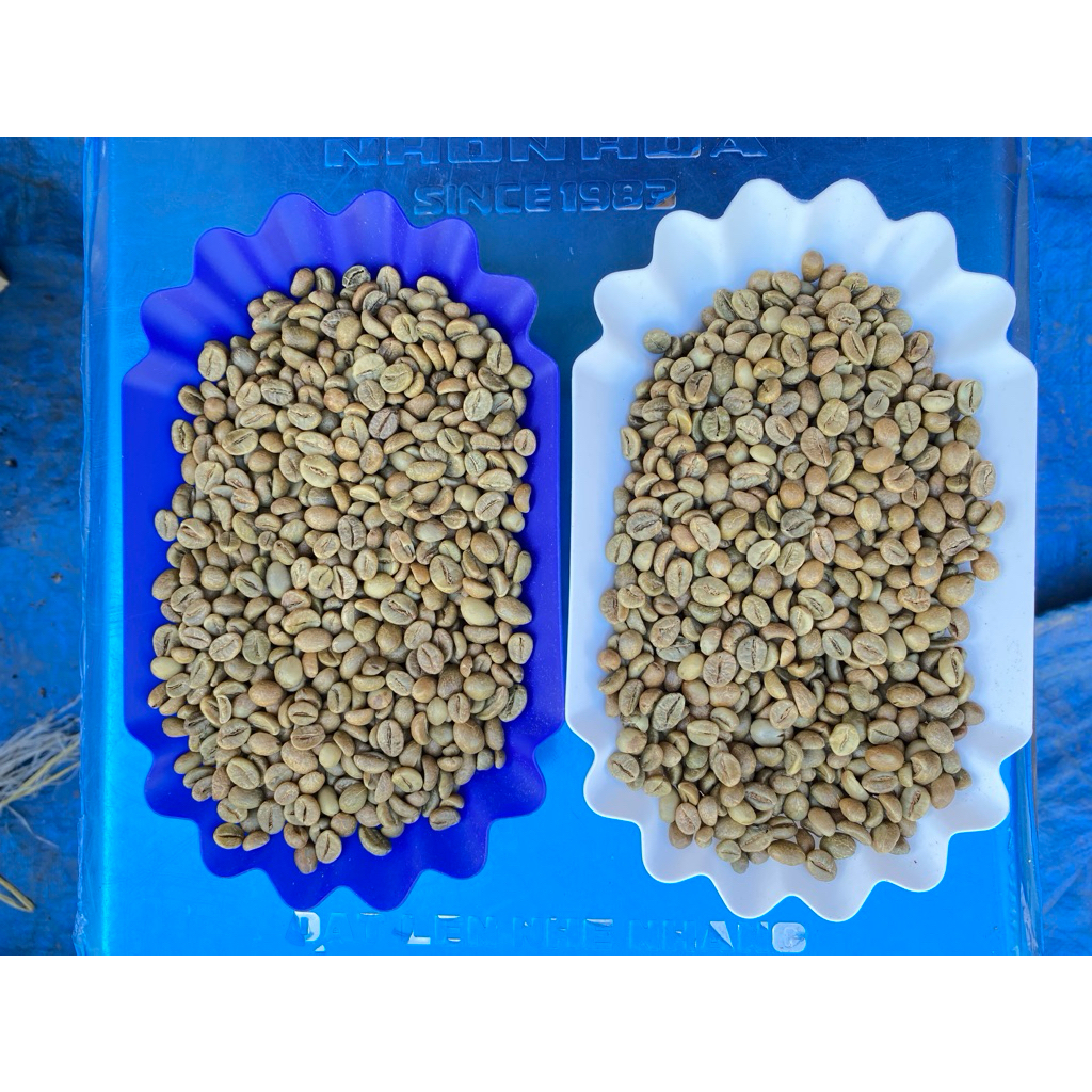 

Green Bean Robusta G1 Kerinci (Kopi Susu)
