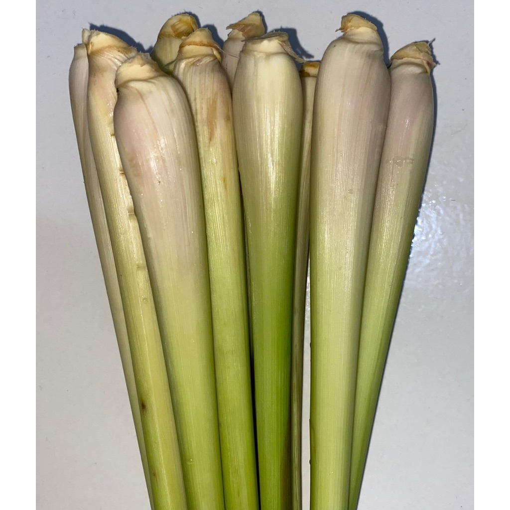 

SERAI | SEREH | UKURAN BESAR DAN KECIL | 1KG