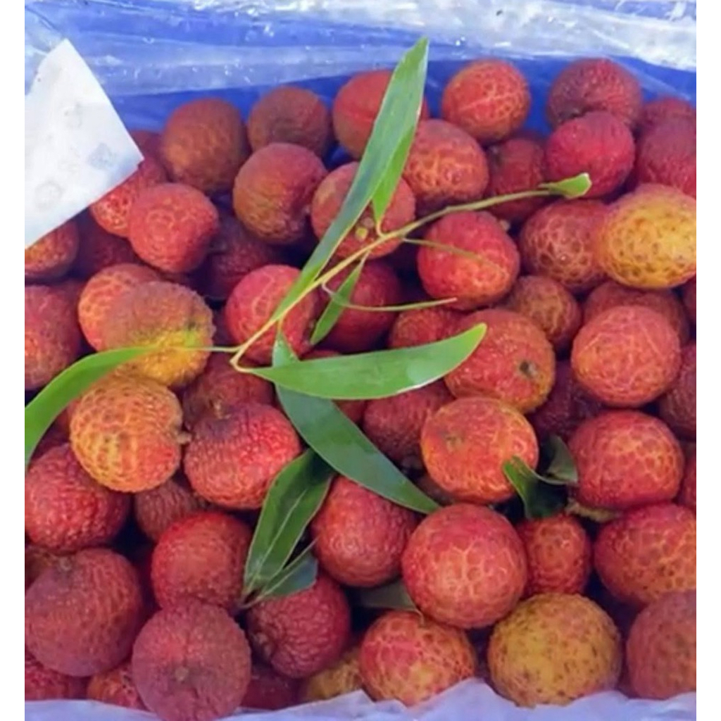Lychee madu | buah leci madu