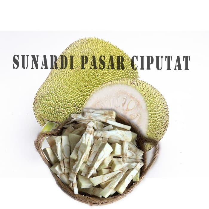 

Nangka muda mentah 500 gram