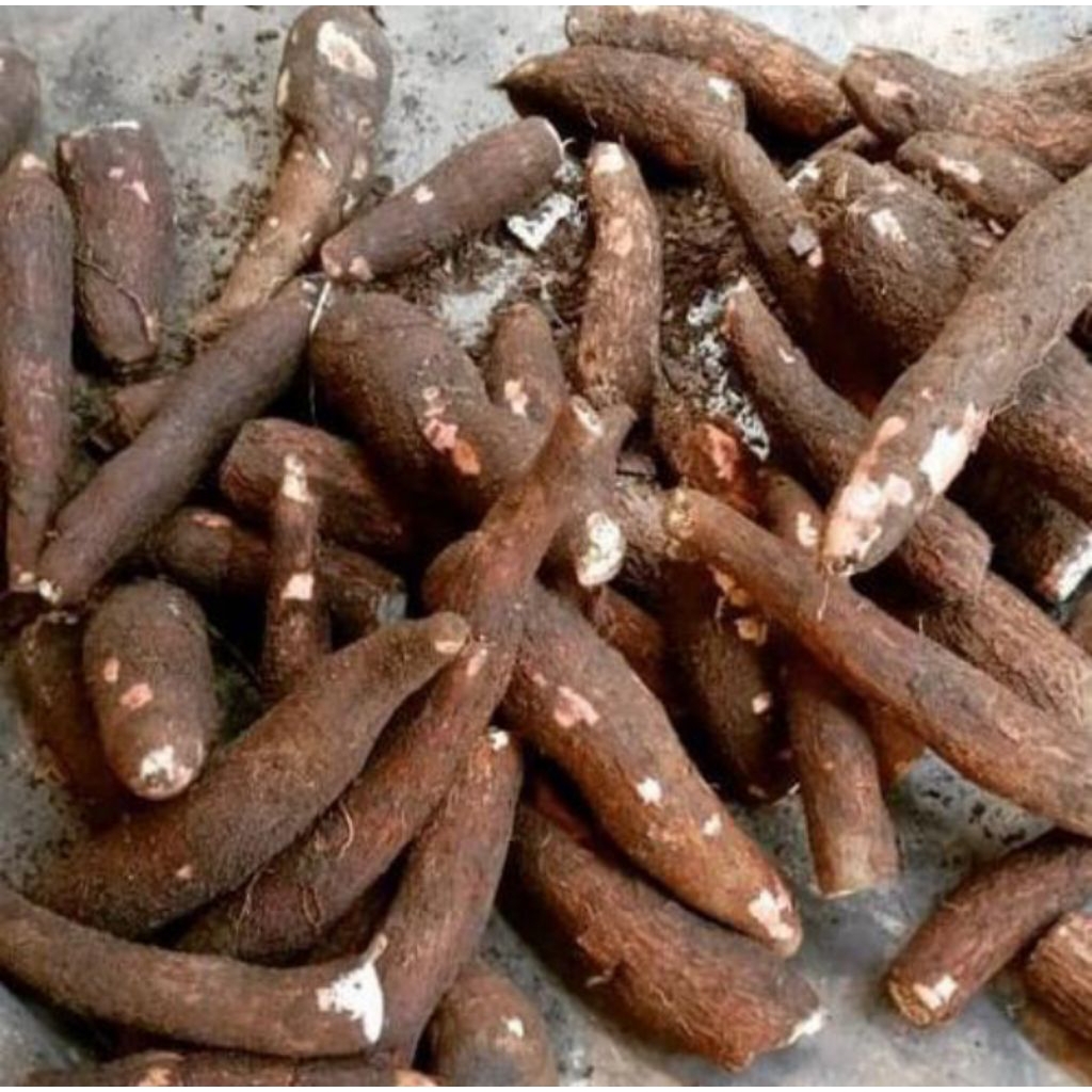 

ubi singkong/ ubi sampe 1kg