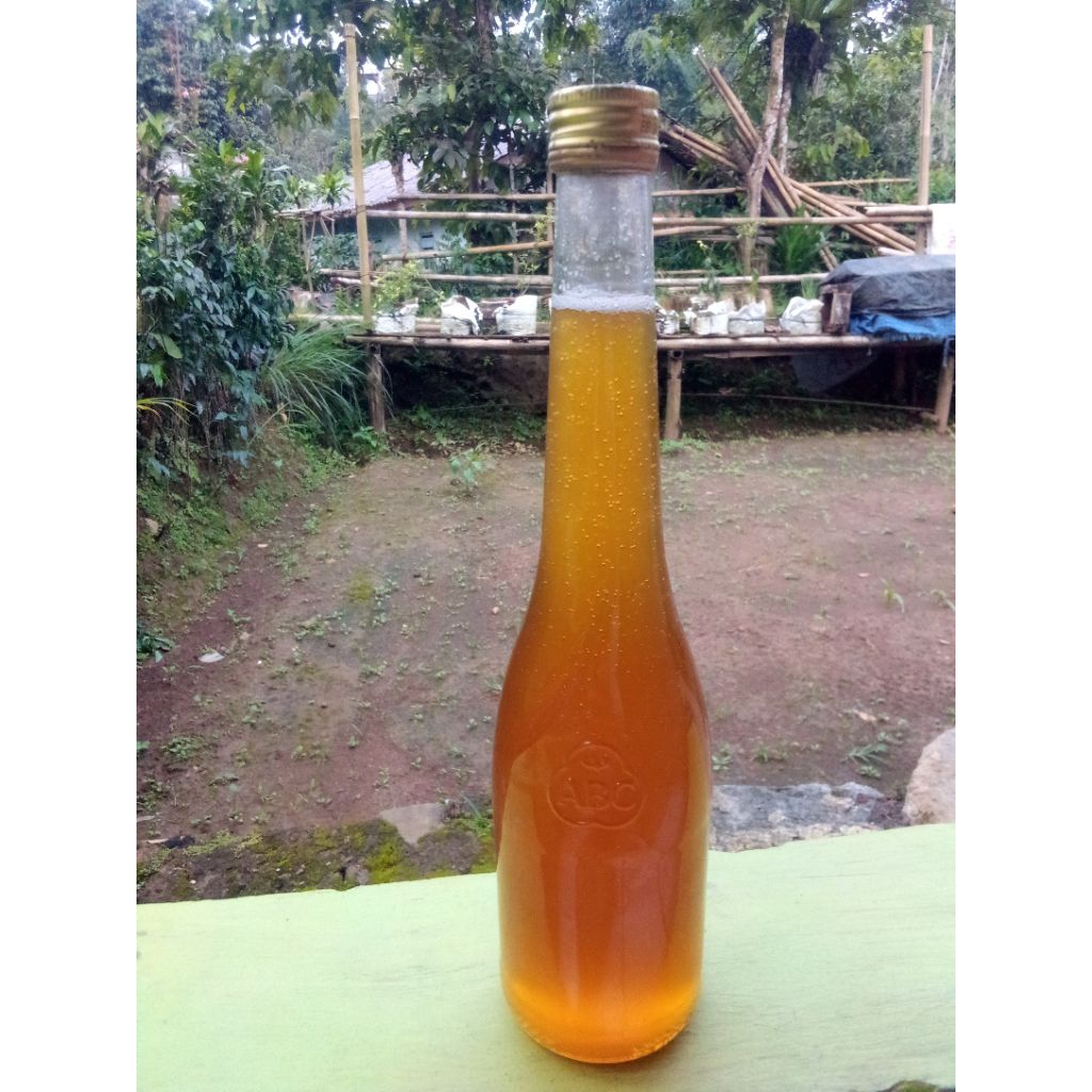 

madu Odeng murni