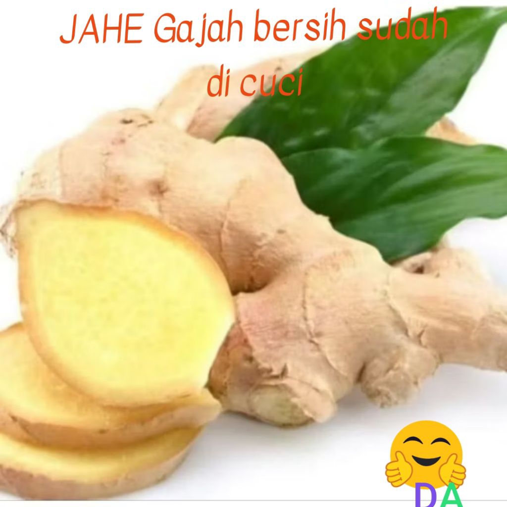 

jahe putih jahe gajah jahe sayur bersih 1 kilo Ter murah super fresh