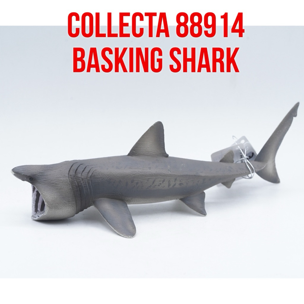 Collecta 88914 Basking Shark Ikan Hiu Penjemur Cetorhinus maximus Mainan Binatang Miniature Hewan