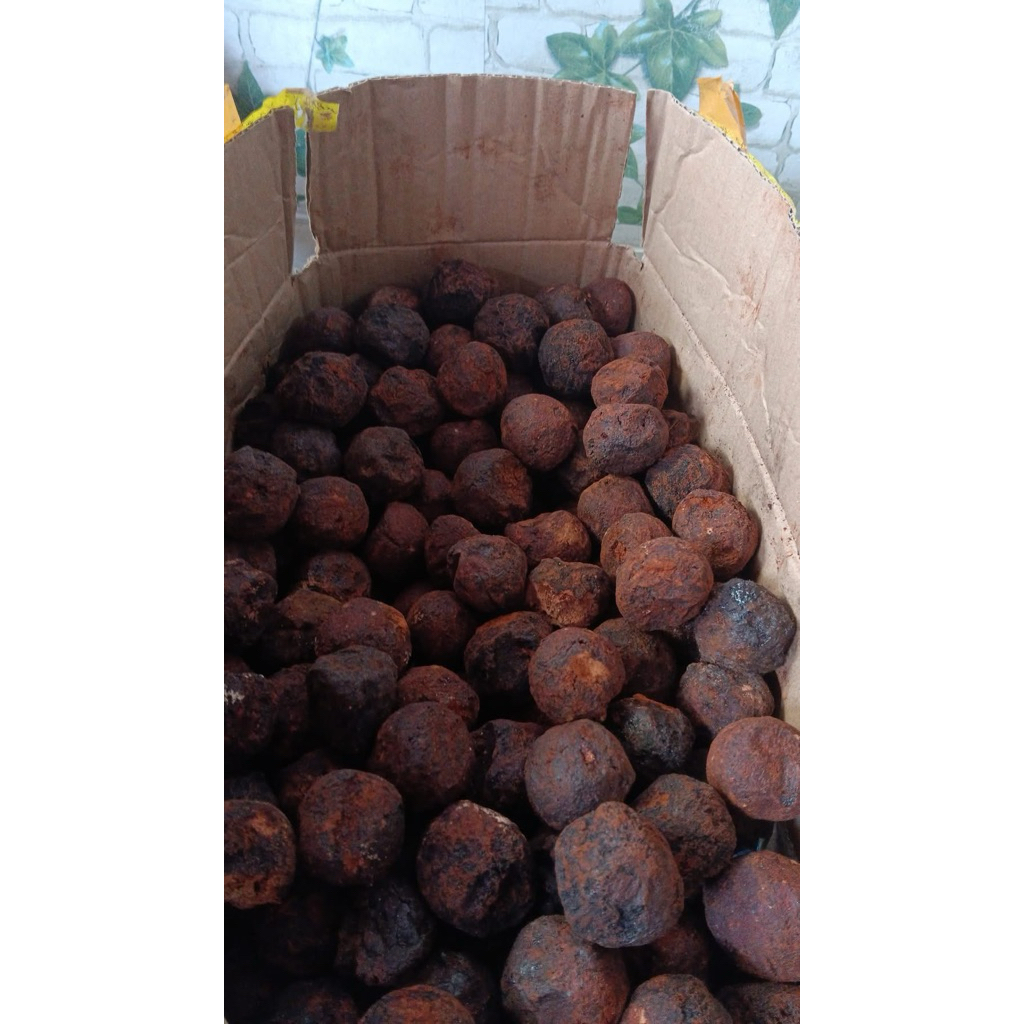 

Gambir merah/gambir sirih belo/gambir getah/gambir karo/gambir medan