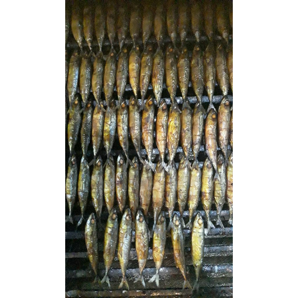 

ikan salem asap isi 10 ekor per 1 bungkus