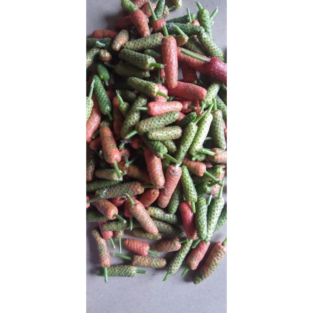 

Cabe Jamu / Cabai Jawa / cabbhi alas petik segar