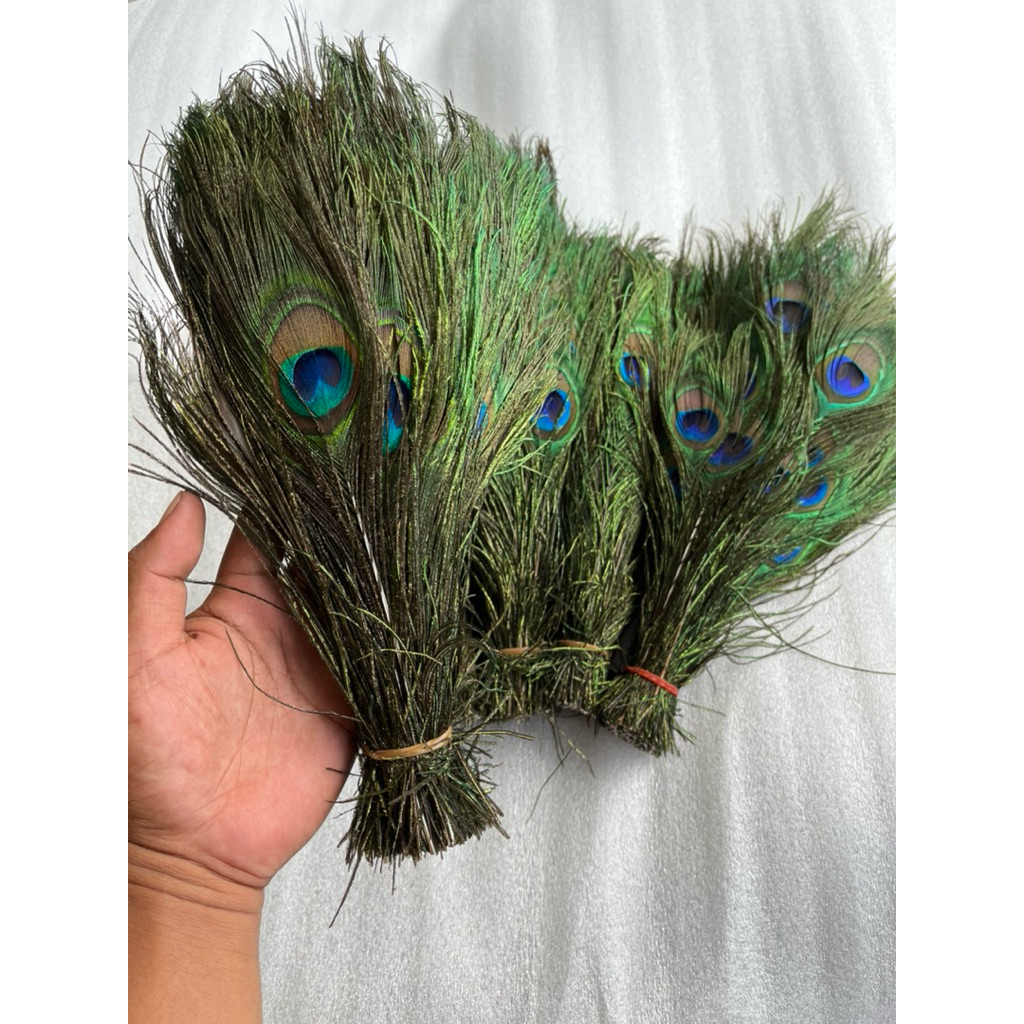 PROMO 5 Helai Bulu Merak Dekorasi Rumah Ukuran 25-30Cm Premium