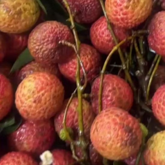 

Buah Leci Merah Buah Impor