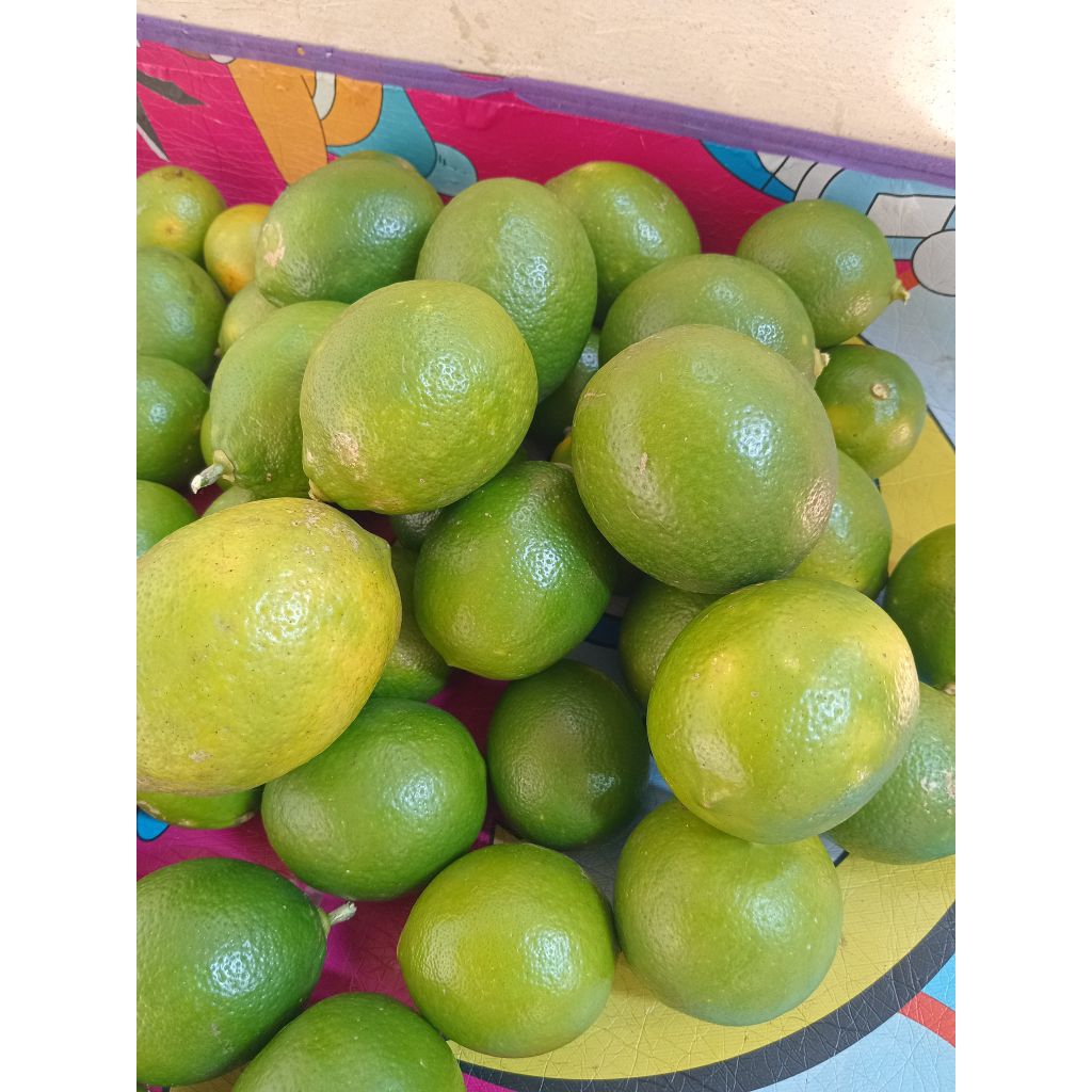

1.kg jeruk lemon california hijau tua bagus segar dan fress langsung petik dari kebun
