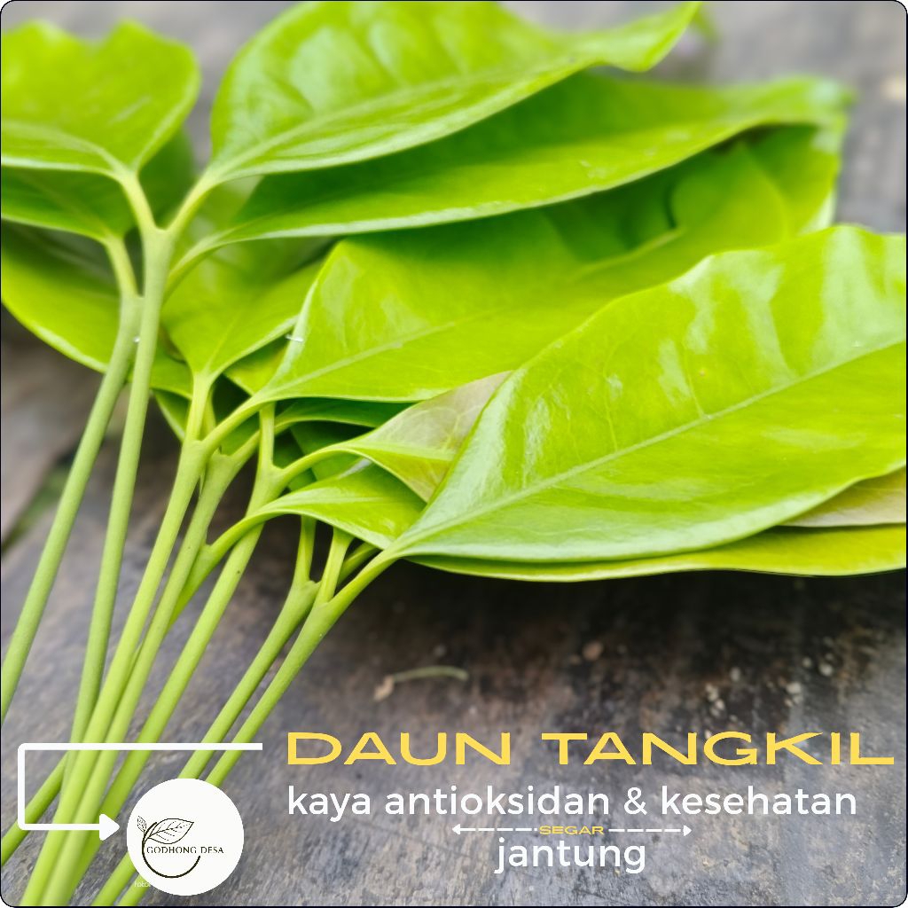 

Daun melinjo/tangkil segar l bumbu dapur l sayuran 100 gr