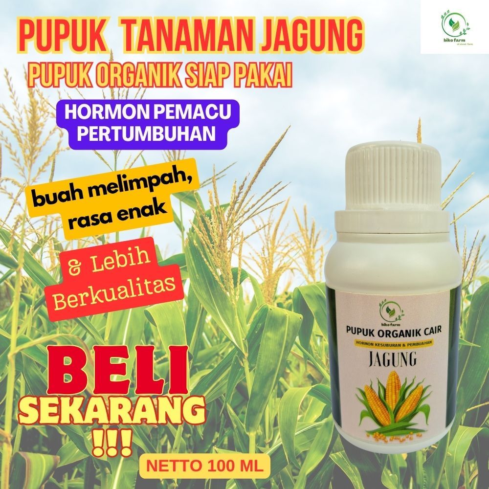 Pupuk Organik Cair Pelebar Tanaman Jagung. Pupuk Organik Cair Penyubur Tanaman Jagung