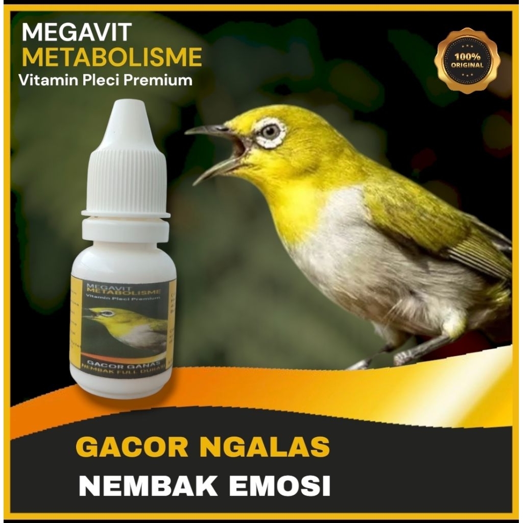 Doping dan Vitamin Burung Pleci Premium Buka Paruh Biar Gacor