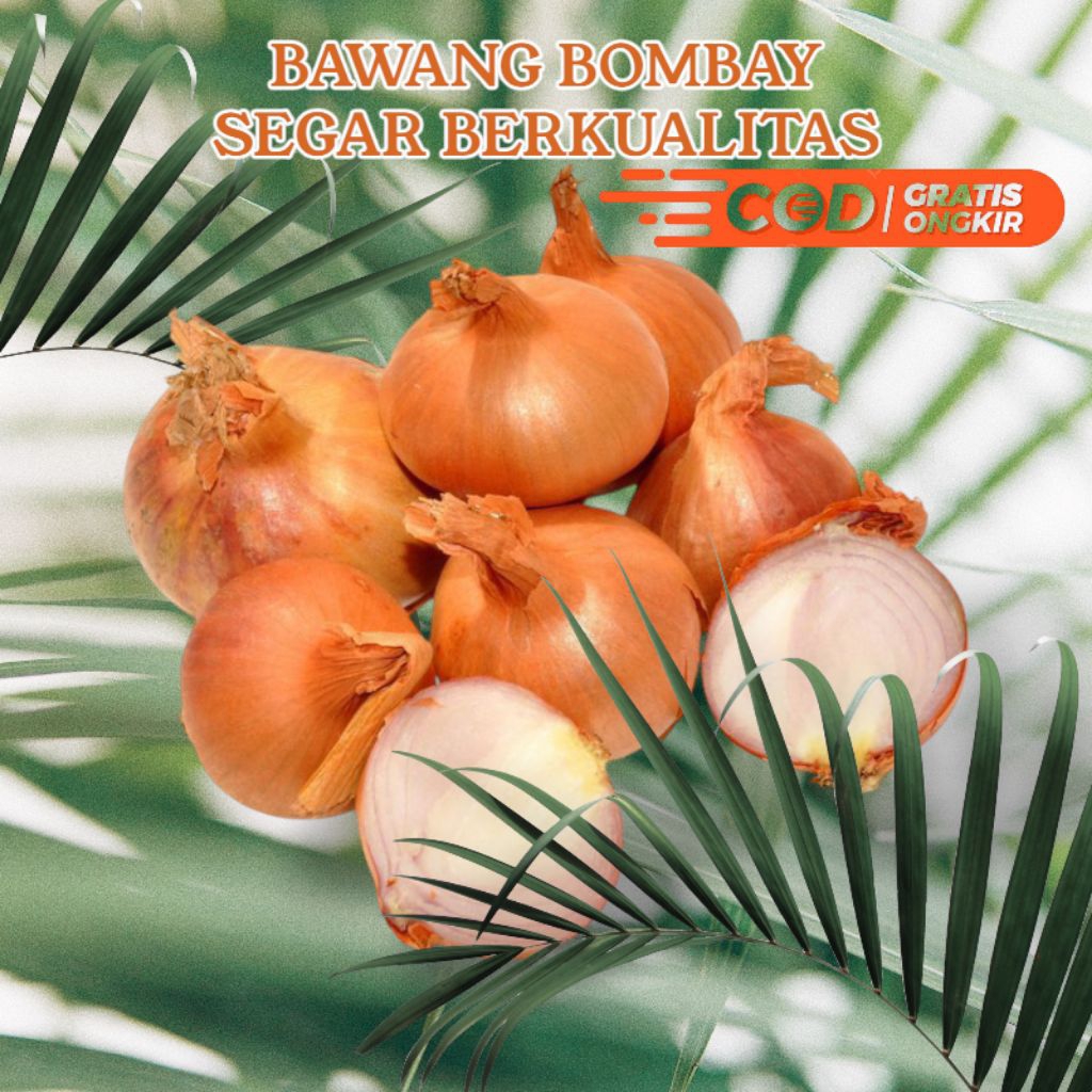 

BAWANG BOMBAY SEGAR DAN BERKUALITAS 1KG
