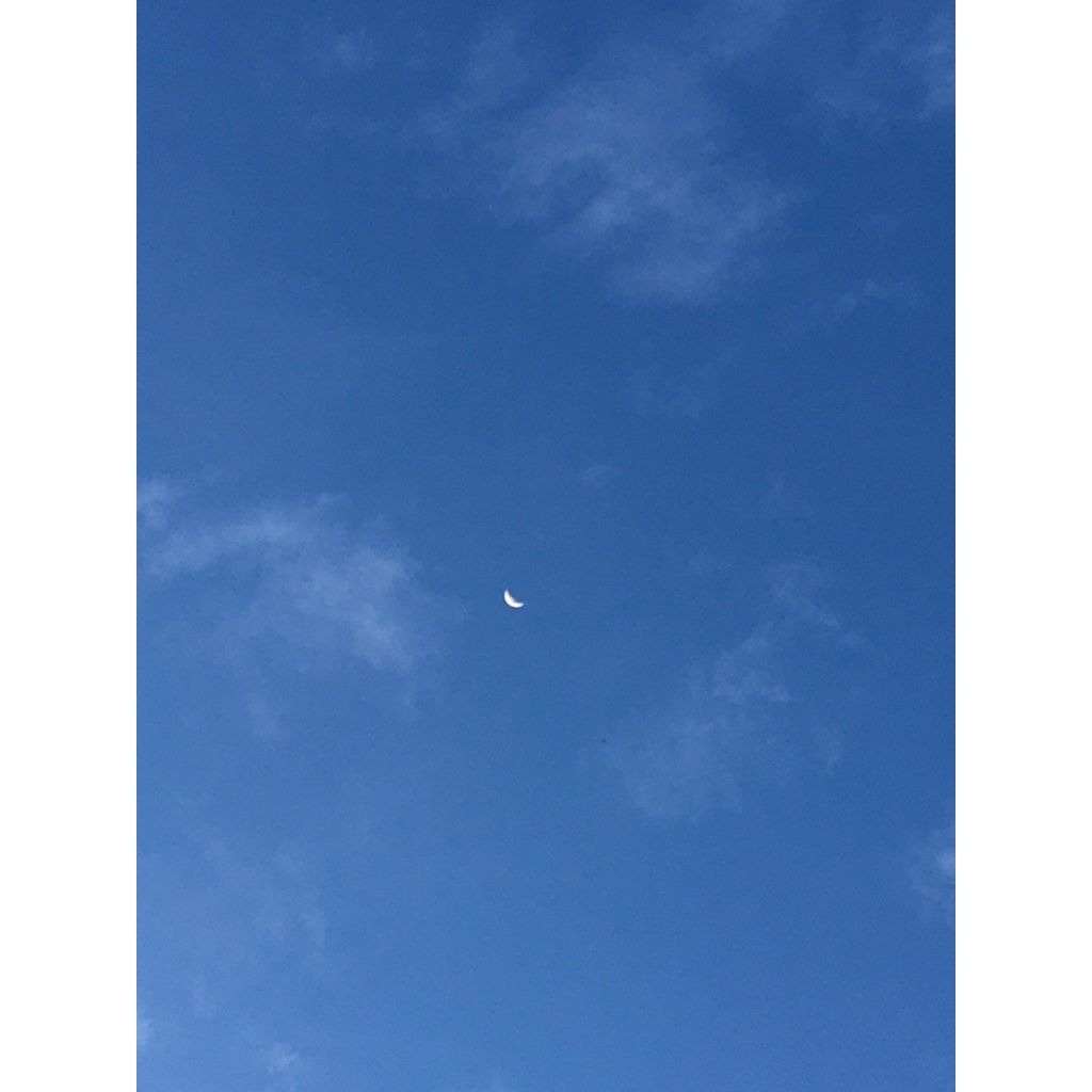 Stroller cabrio hybrid