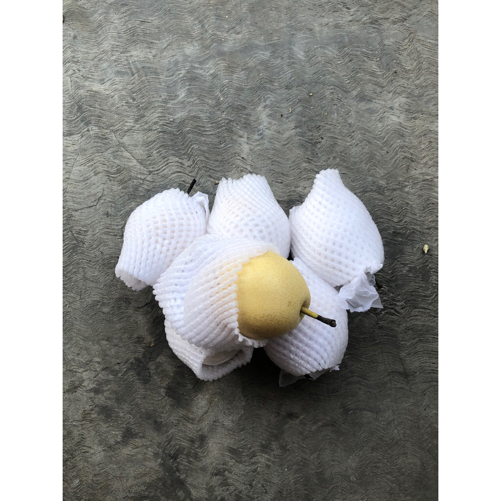 

buah pear / pear century / buah peer