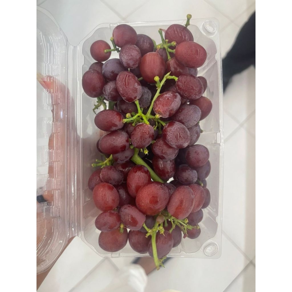 

Anggur Candy Snap Permen Sweet / Pack