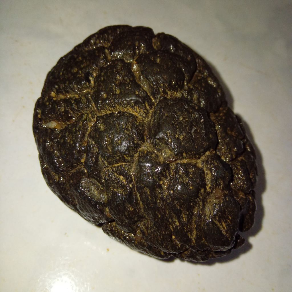Original Batu Satam Meteorite Big Size / Ukuran Jumbo