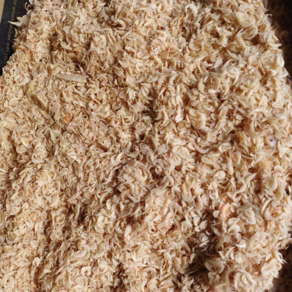 

ikan asin udang rebon