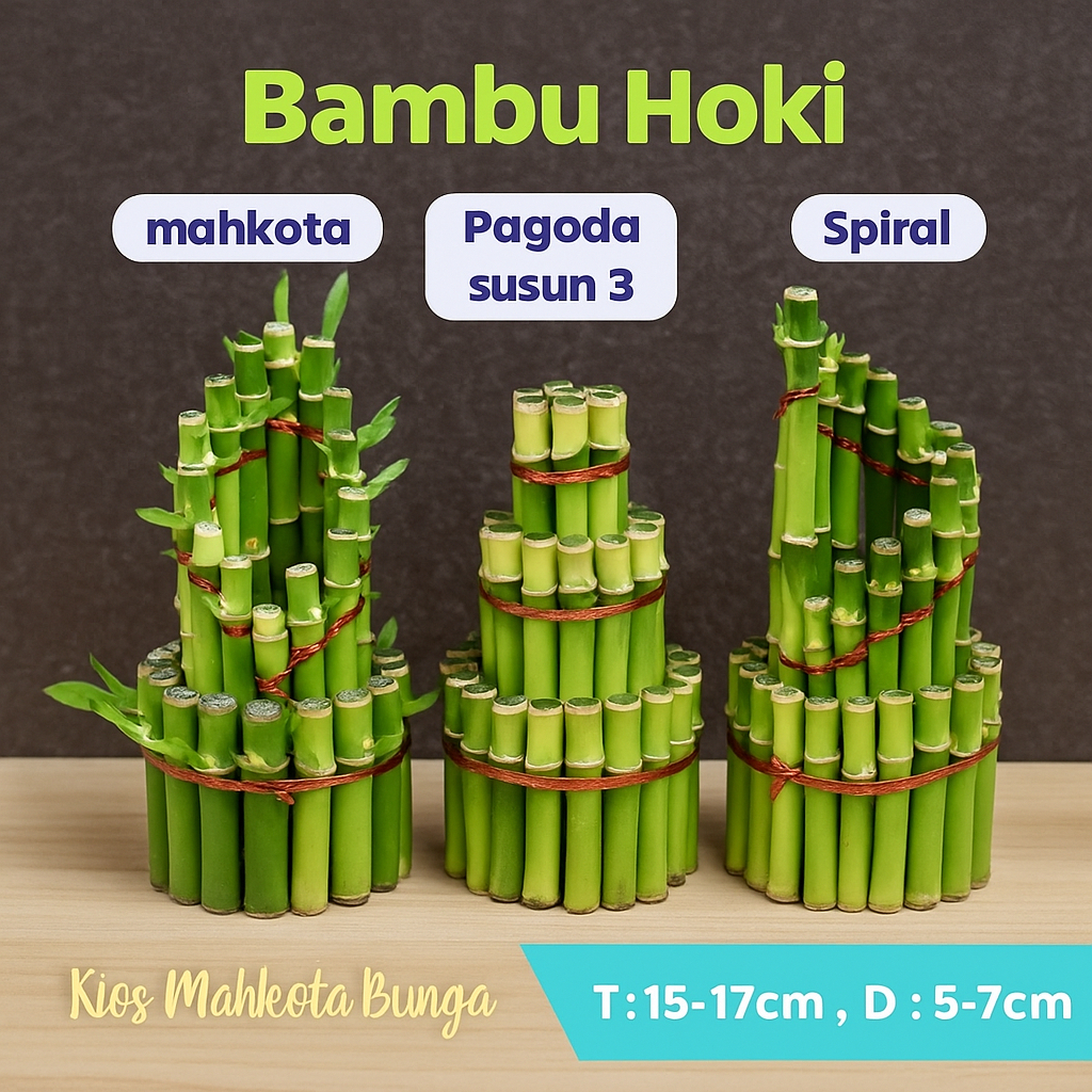 Bambu Hoki Tinggi 15 Cm / Bambu Hoki Model Pagoda Susun 3 Mahkota Spiral