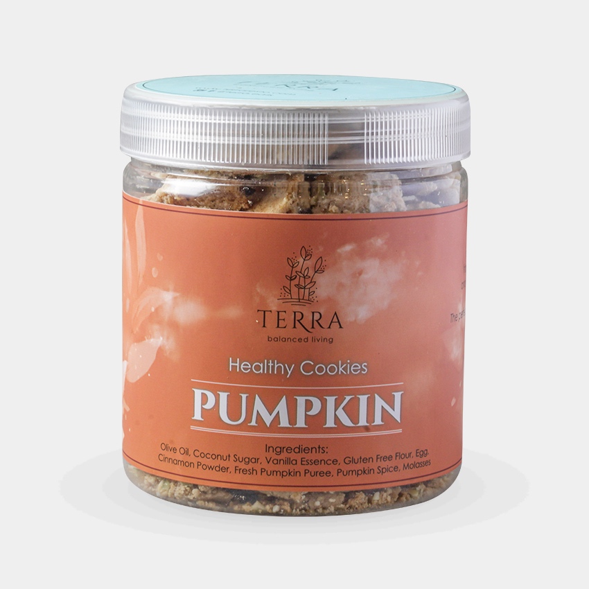 

Terra Pumkin Cookie Jar