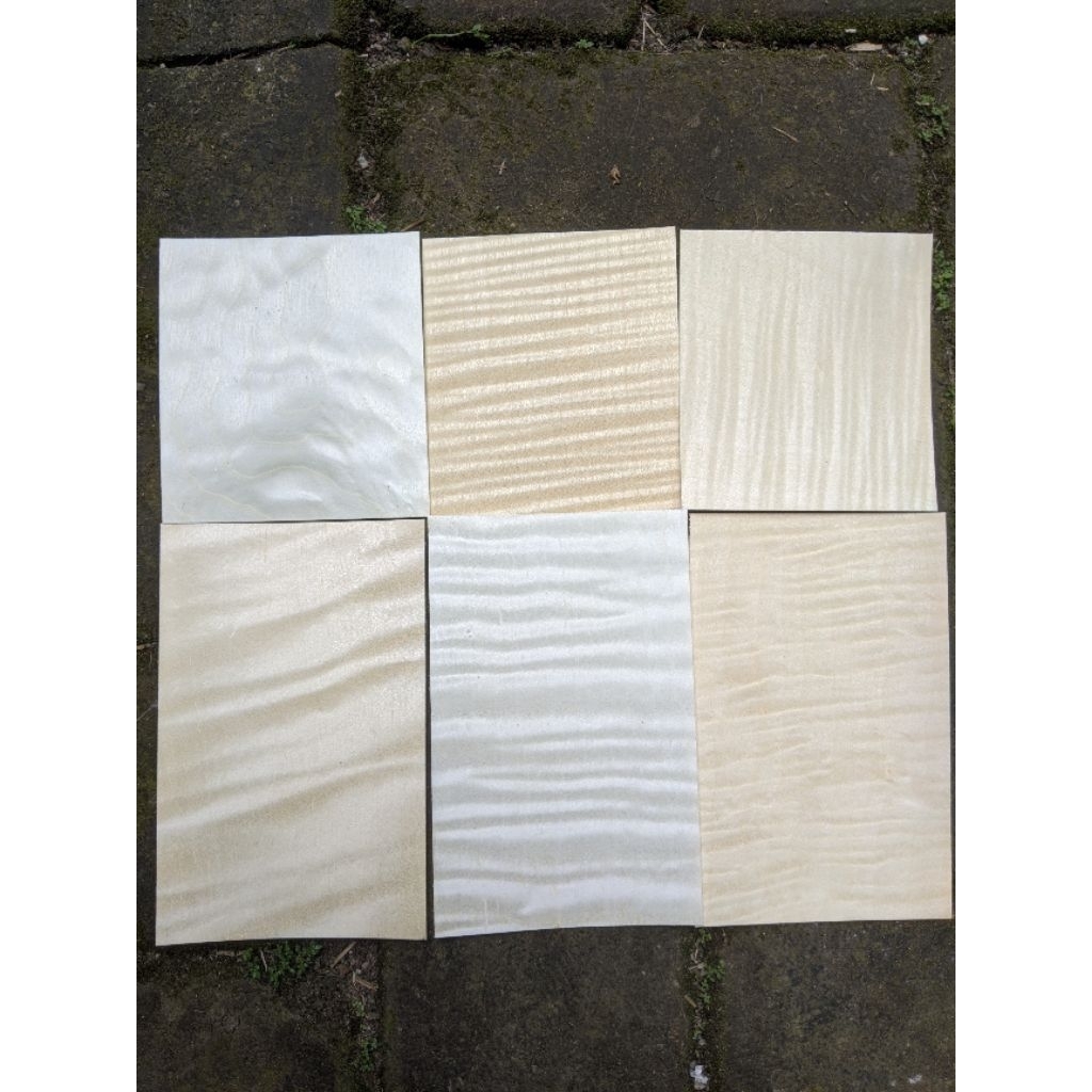 veneer kayu hard maple curly 0,45mm x 9 x 10-15 cm