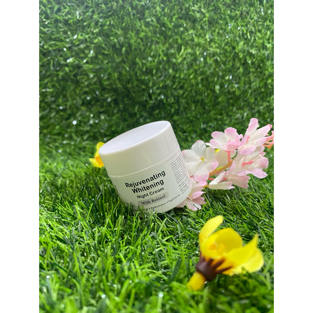 NATURAL SKIN EXPERT - Rejuvenating Whitening Night Cream