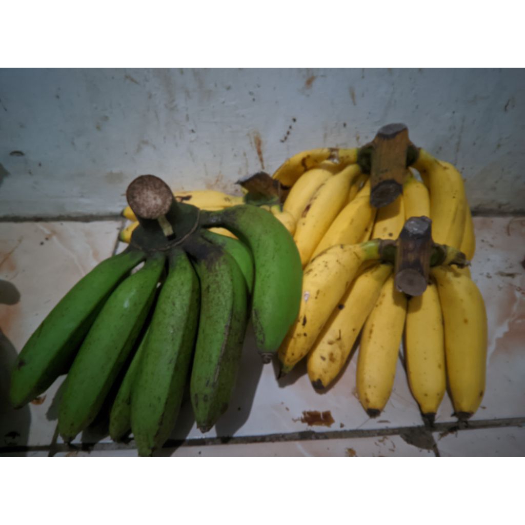 

pisang uli tua1sisir