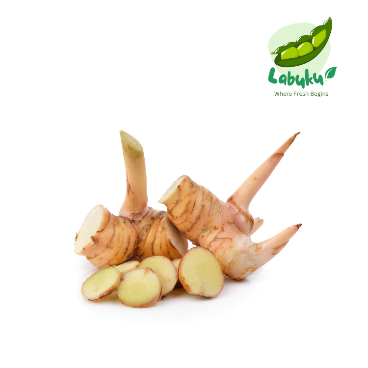 

Labuku – Lengkuas (Laos) Segar Premium Lokal