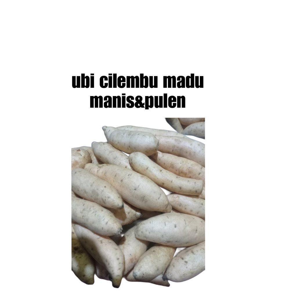 

ubi cilembu madu rasa maniss dan pulen ukuran kecilan untuk kukus isi 500gram