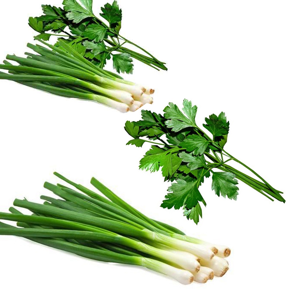 

Daun bawang Daun campur seledri sledri