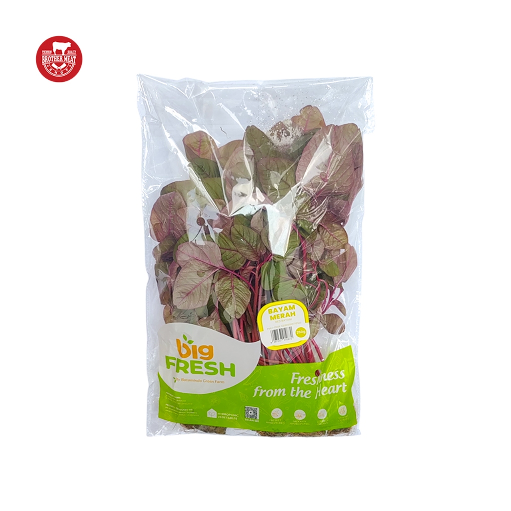 

Big Fresh Bayam Merah Fresh 250gr - Brothermeatshop