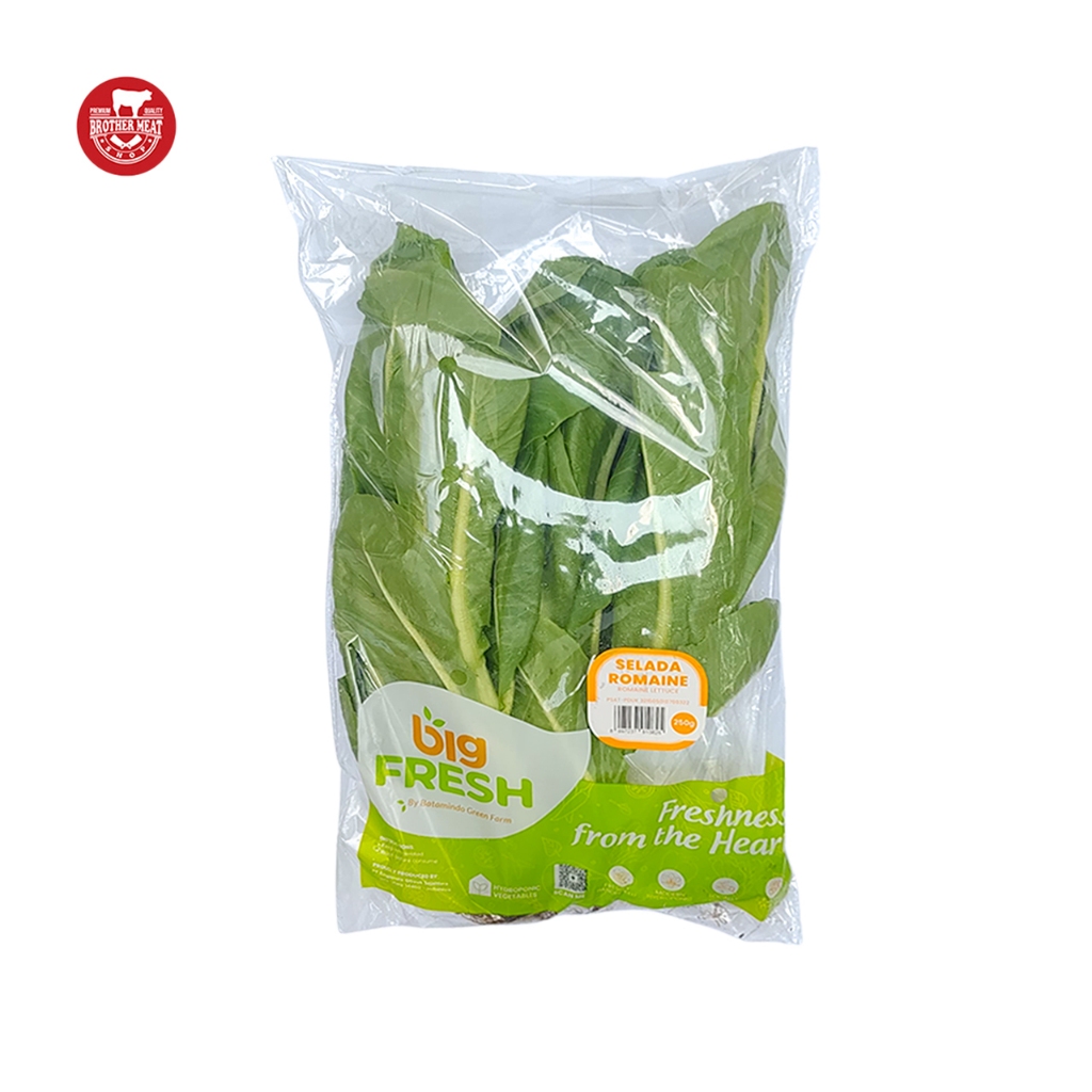 

Big Fresh Selada Romaine 250gr - Brothermeatshop