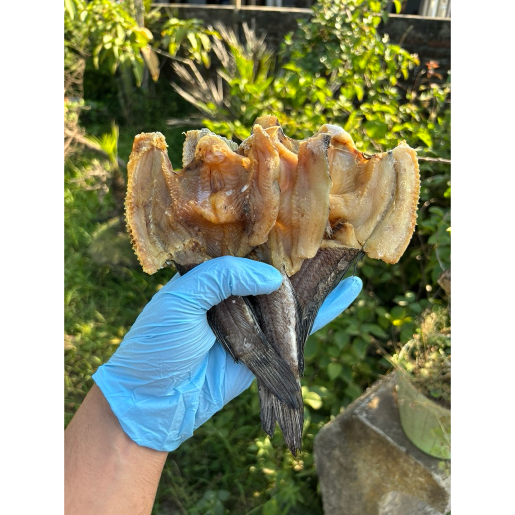 

Ikan Asin Gabus Kering Premium 1000gr