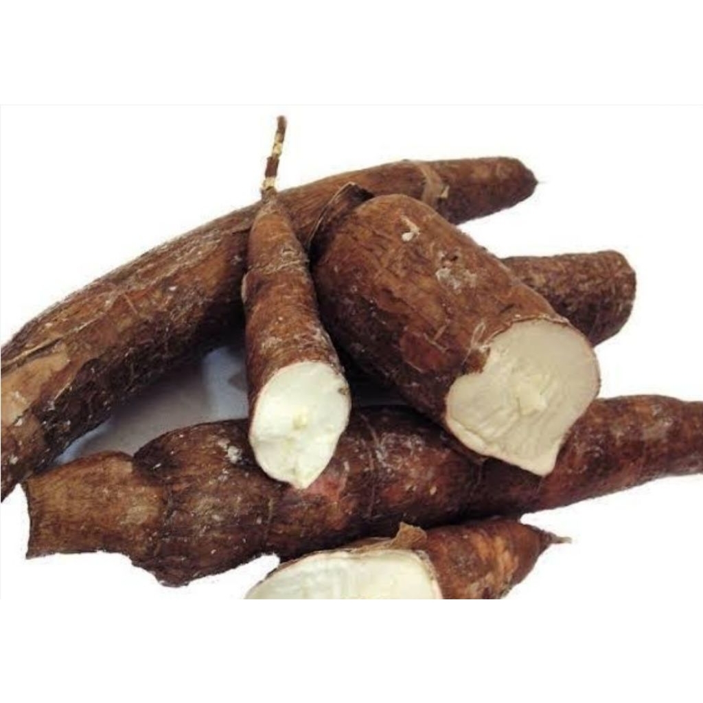 

Singkong mentah segar berkualitas 500 gram