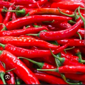 

cabe merah besar 250 gr