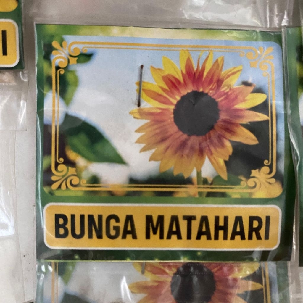 bibit tanaman (bunga matahari)