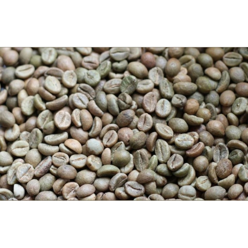 

Kopi Robusta Green Bean | Kualitas Premium | Kiloan | Suka Tani99