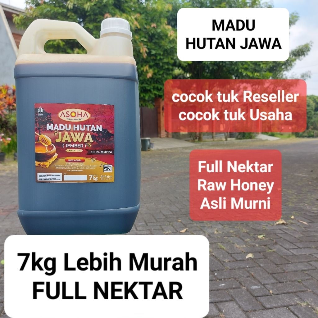 

ASOHA Madu Hutan Liar Jawa Timur 7kg | FULL NEKTAR | Madu Asli | Madu Murni | Raw Honey