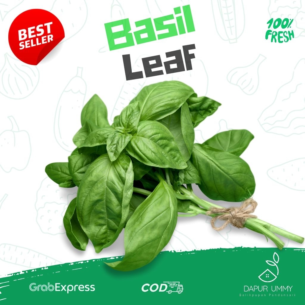 

SAYUR FRESH • Daun Basil • Basil Leaf • Per Pack