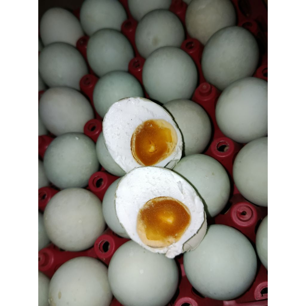 

TELUR ASIN ASLI BREBES – Gurih, Lezat & Tahan Lama!