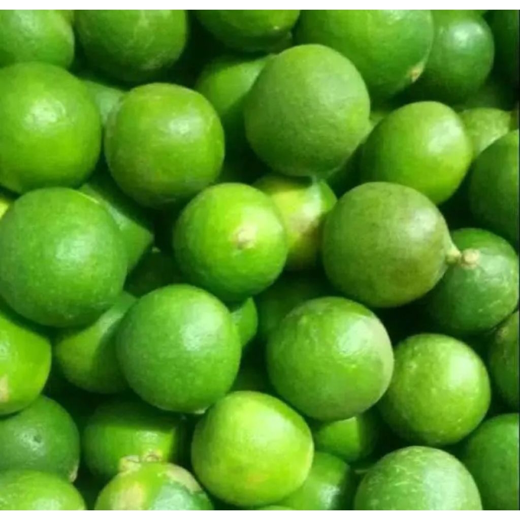 

JERUK NIPIS fresh 1 kg harga murah, kualitas Terbaik