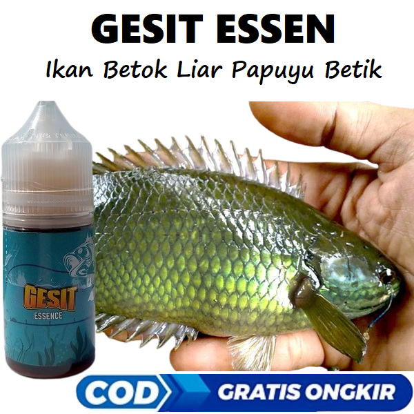 Essen Ikan Betok Liar Papuyu Betik Paling Ampuh