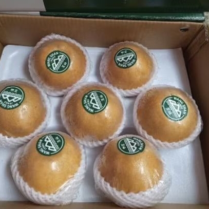 

Pear singo wangsan super jumbo premium 1 Kg
