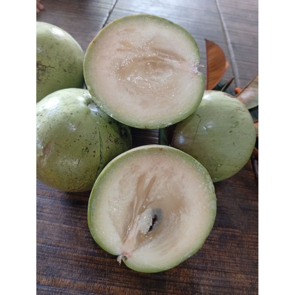 

Durian Sawo / Sawo durian 1kg buah langka hanya ada disini.