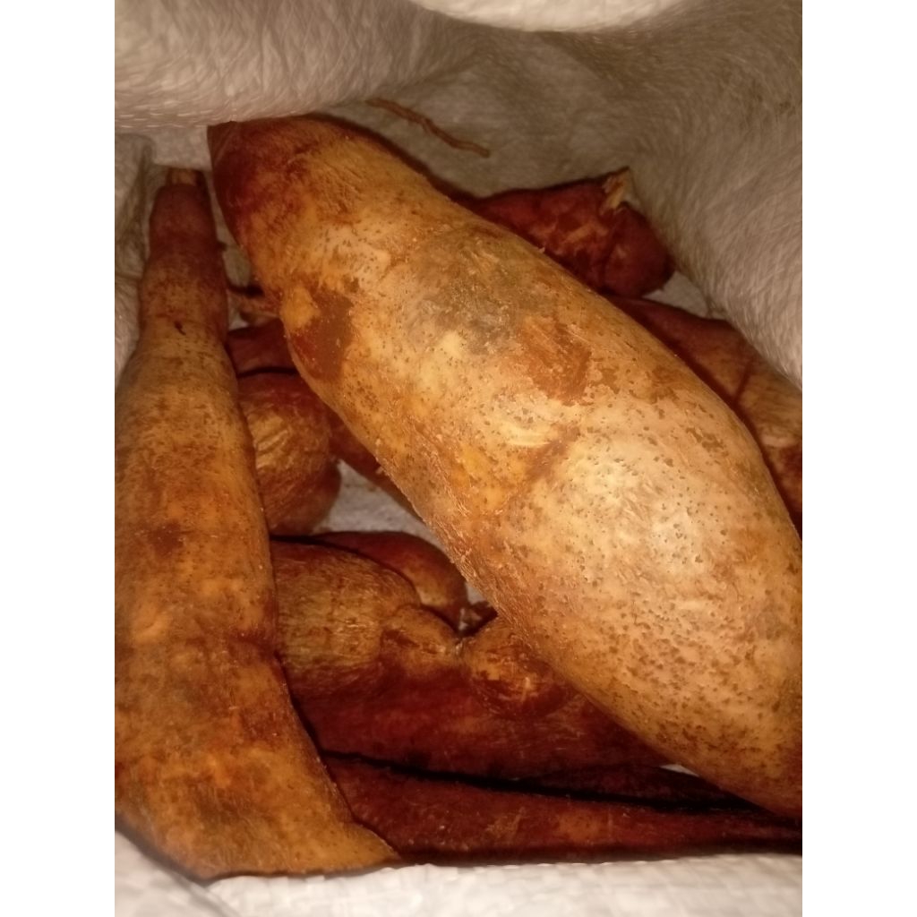 

singkong segar 1000grm