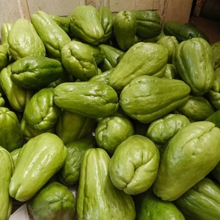 Labu Siam sayur fresh 1 Kg / Labu Siam untuk sayuran